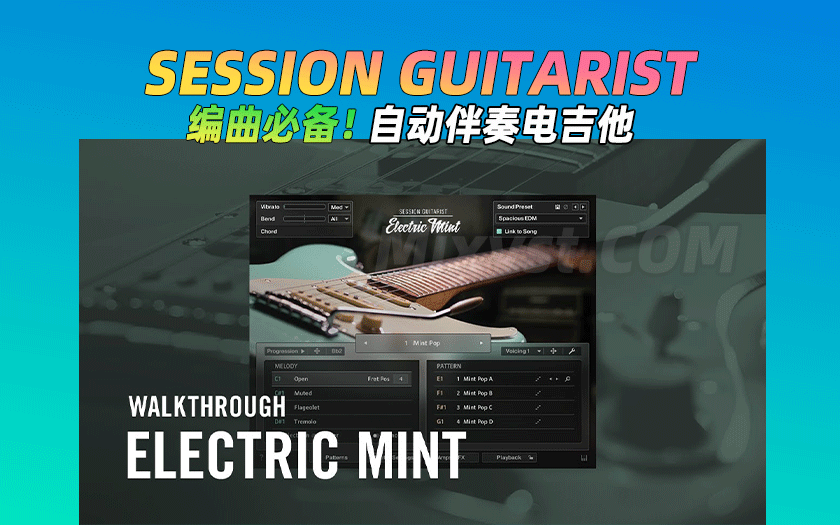 图片[4]-Session Guitarist吉他音源-艾瑞乐精品音频资源网