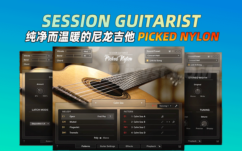 图片[5]-Session Guitarist吉他音源-艾瑞乐精品音频资源网