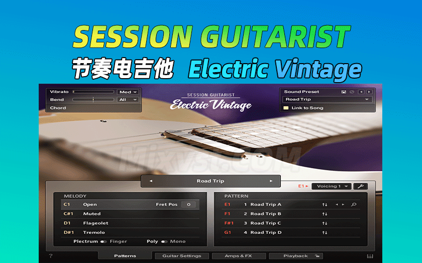 图片[6]-Session Guitarist吉他音源-艾瑞乐精品音频资源网