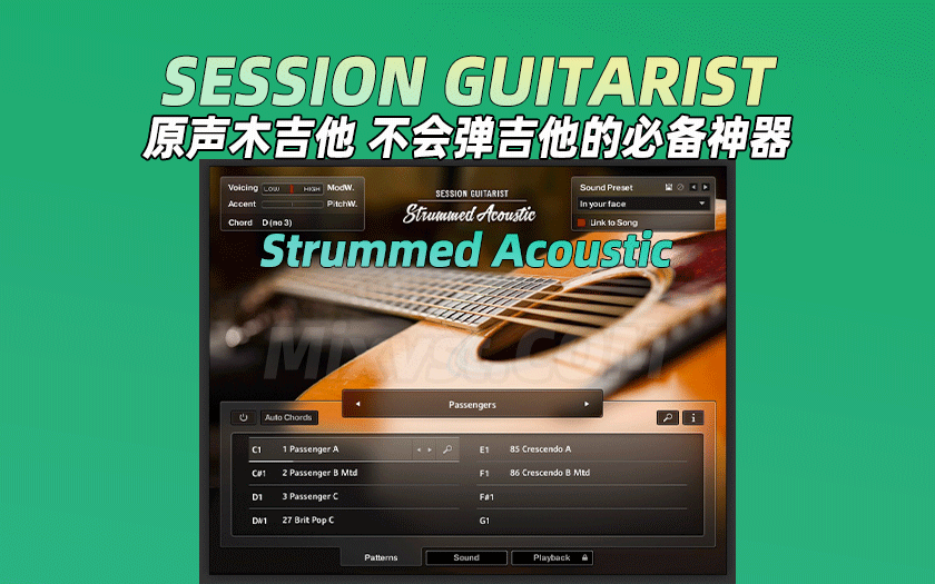 图片[2]-Session Guitarist吉他音源-艾瑞乐精品音频资源网