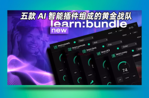 AI智能自动辅助混音套装Sonible Learn Bundle-艾瑞乐精品音频资源网