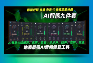 AI智能音频降噪去杂音回响修复增强BorisFX CrumplePop Complete—_win-艾瑞乐精品音频资源网