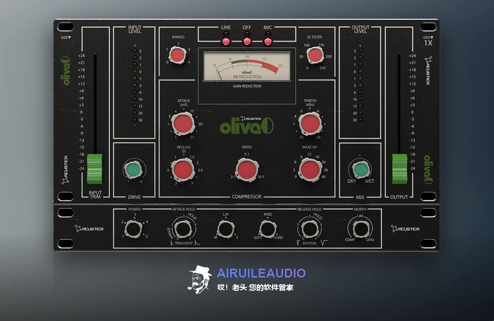 图片[1]-Acustica Audio Olive Windows-艾瑞乐精品音频资源网
